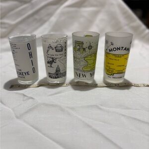 Vintage State Souvenir Glass Set - Ohio, Texas, New York, Montana